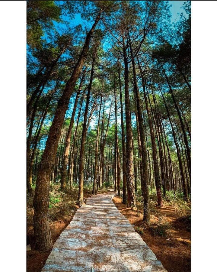 Bojinee Nagarkot Resort Buitenkant foto